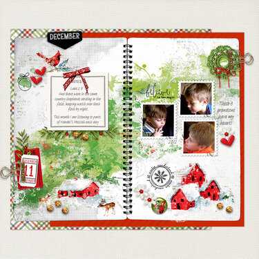 December Notebook 11 and 12