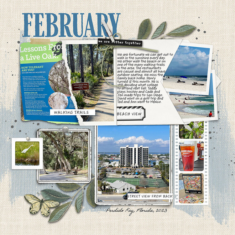 February Monthly Summary