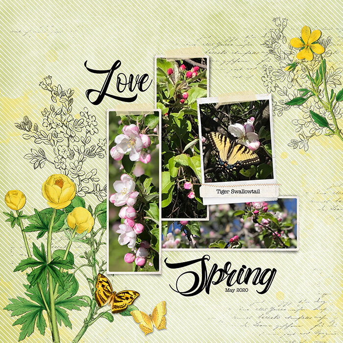 Love Spring