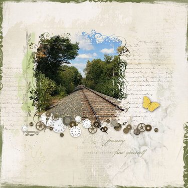 Life's Journey