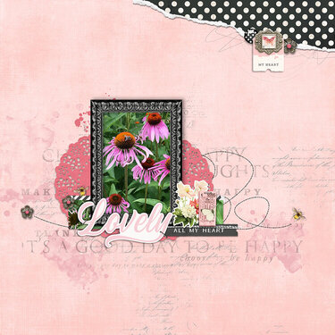 Lovely Cone Flowers