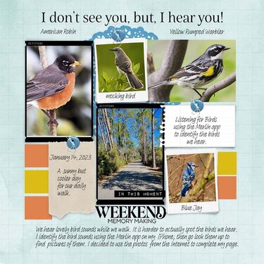 Identifying Bird sounds