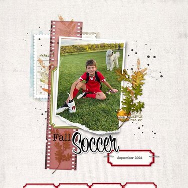 Fall Soccer Season