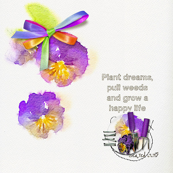 plant dreams