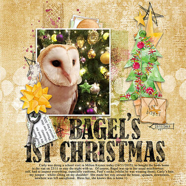 Bagel&#039;s 1st Christmas