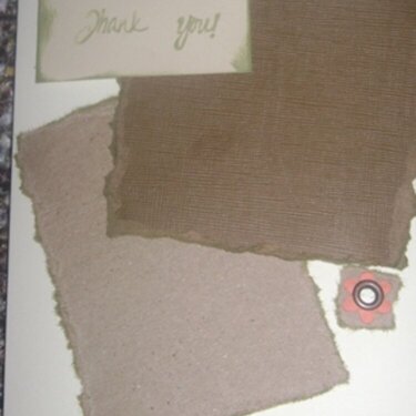 Another Earth Tones Thank You Card