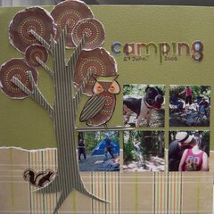 camping [pg1]