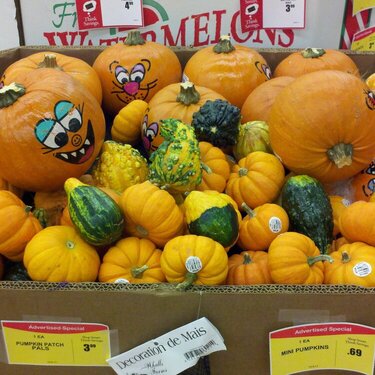 pumpkins