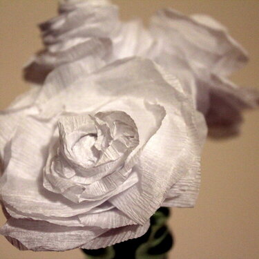 Crepe paper flower