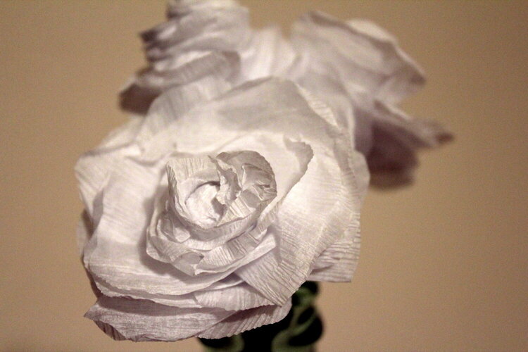 Crepe paper flower