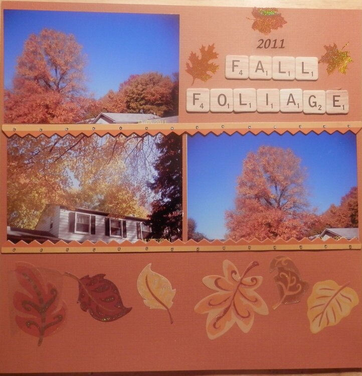 2011 Fall Foliage