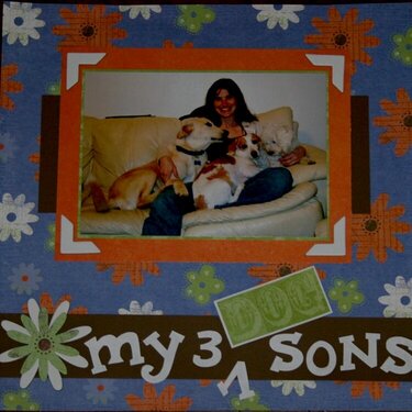 My 3 Sons ~ monthly challenge