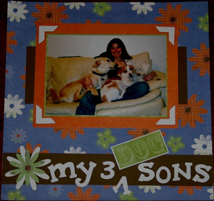 My 3 Sons ~ monthly challenge