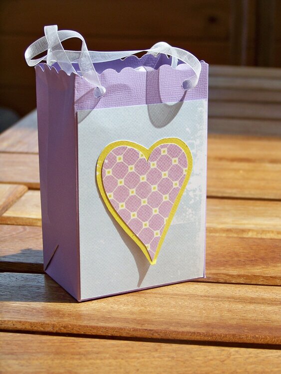 Popcorn box gift bag