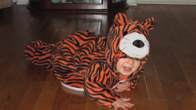 little tiger