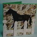 Iris Fold horse card
