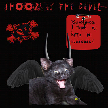Shooz Is The Devil