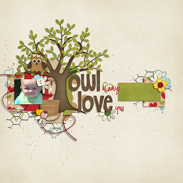 Owl Always Love You