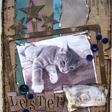 Lester (cat)
