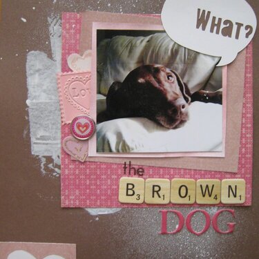 The brown dog