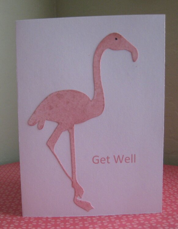 Flamingo get well
