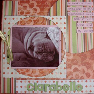 Clarabelle Pug