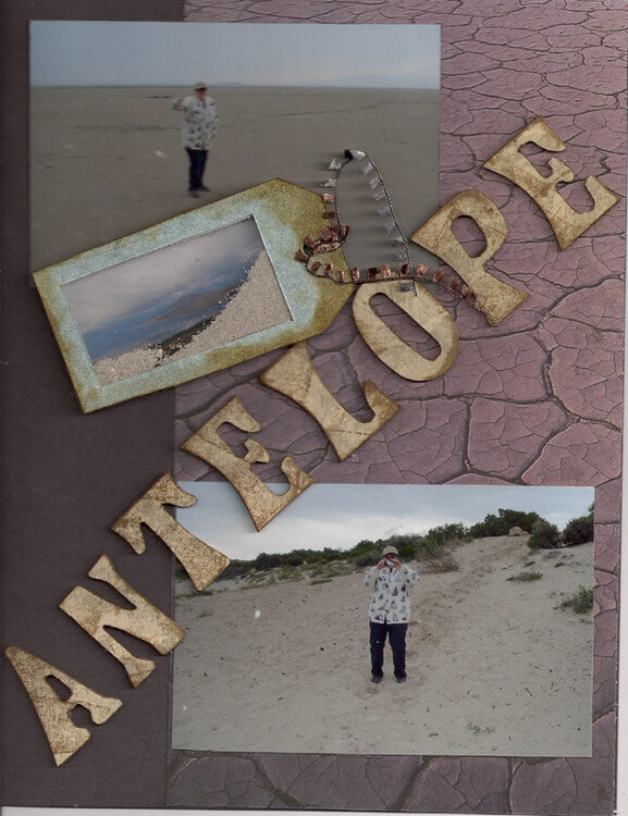Antelope Island 1
