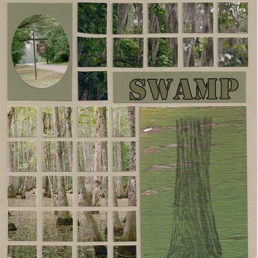 Cyprus Swamp1