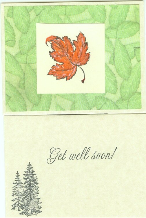 Get well Card - Maple Leaf