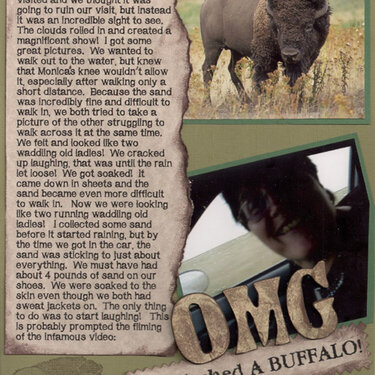 OMG She Flashed a Buffalo!