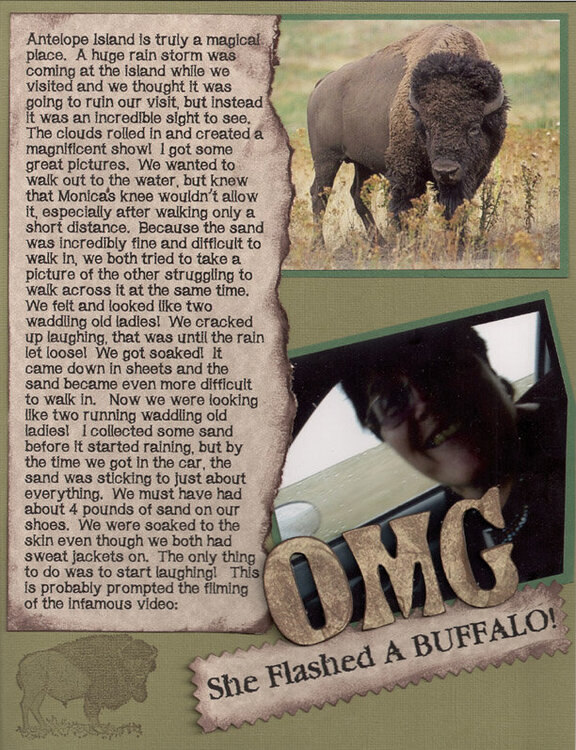 OMG She Flashed a Buffalo!
