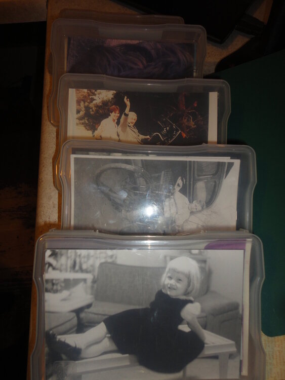 Iris Storage Boxes for photos
