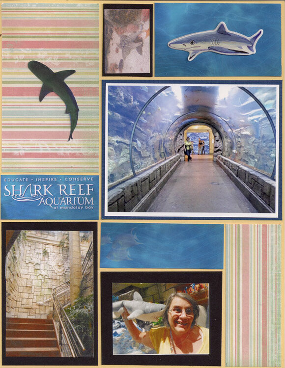 Shark Reef Pg1