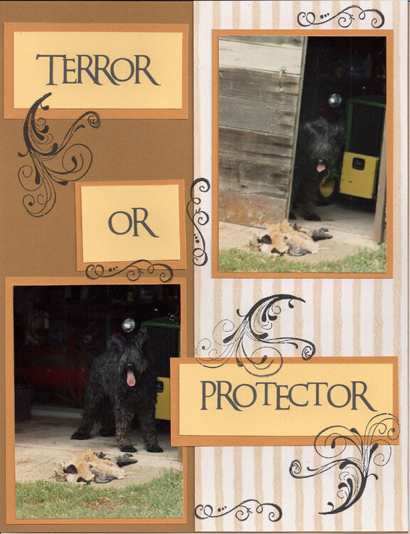 Terror or Protector