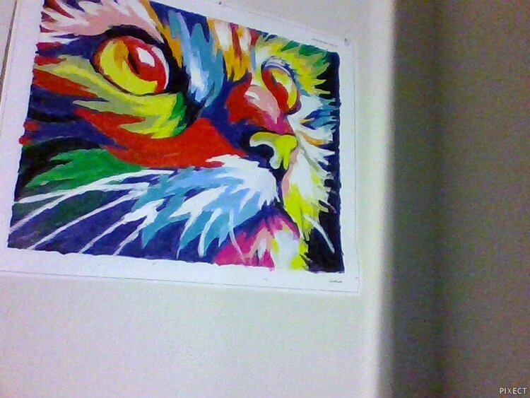 Abstract Colorful Cat