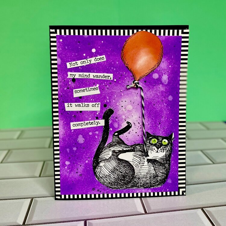 Snarky Cats Cards