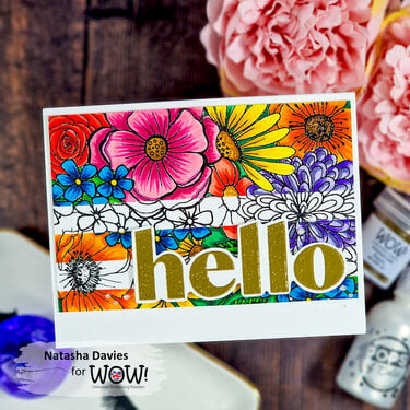 Cut Out Colour Blocks | WOW Embossing Powder