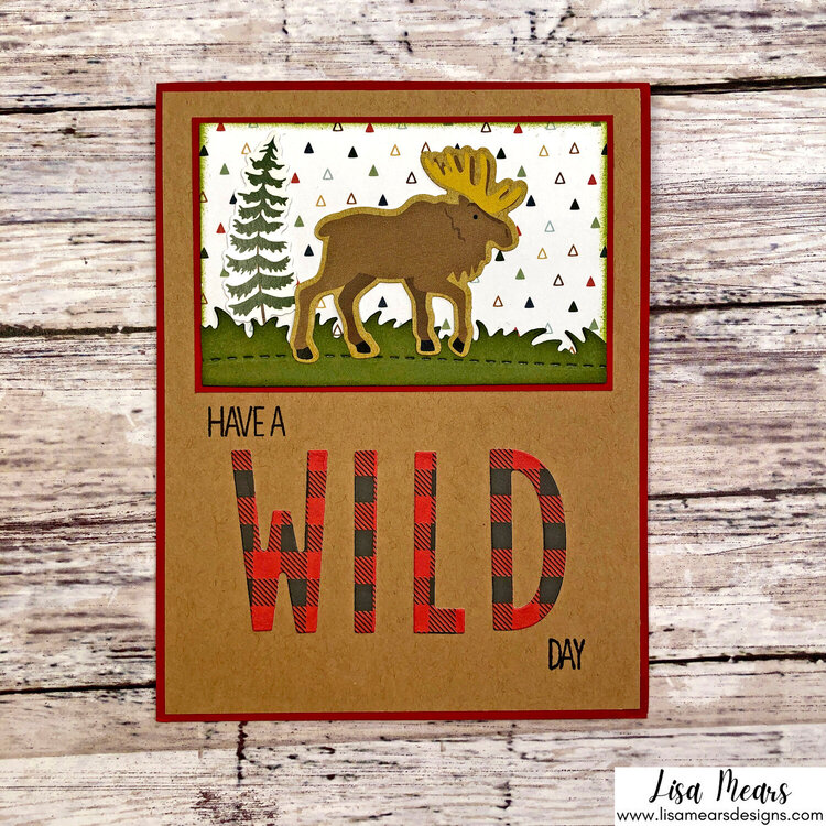 18 Masculine Cards - Echo Park - Let&#039;s Go Camping Collection