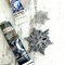 EXCLUSIVE Redesign Snowflake Mould
