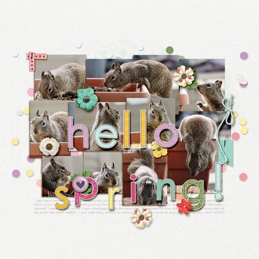 Hello Spring!