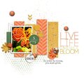 Live Life in Full Bloom