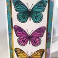 Beautiful Butterflies slimline birthday card