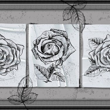 Roses Sketches
