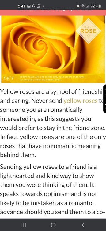 The Yellow Tea Rose the official flower of Sigma Gamma Rho Sorority Inc.