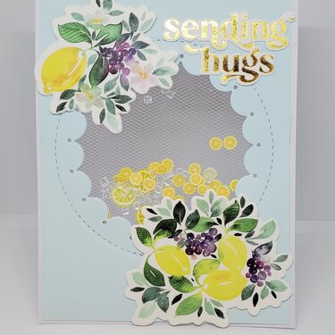 Sending Hugs tulle shaker card