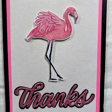 Flamingo Thanks