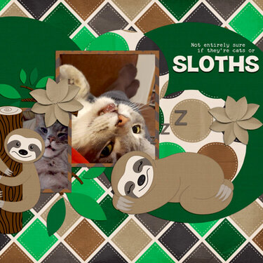 Sloths