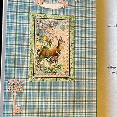 Grandsons Handmade Book Cover Japanese Book Binding with Ribbon