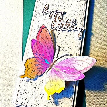 Butterfly 