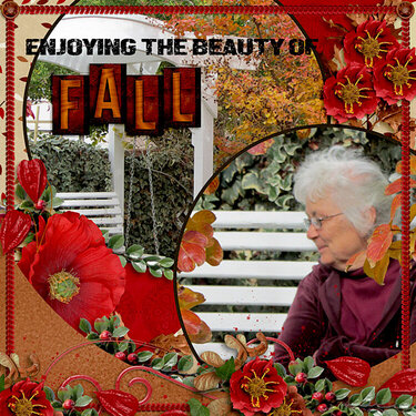 Enjoying the Beauty of Fall